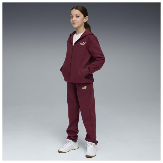 Puma Παιδικές φόρμες σετ Metallic Hooded Sweat Suit